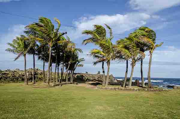 120 - Chile - isla de Rapa Nui o Pascua - Hanga Roa - Hanga Vare Vare